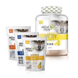 BPN Best Plus Nutrition Eco Tactical Kombinasyon Paketi ( Whey Protein Lemon Macaron Aromalı + Bcaa + Glutamine + Creatine)